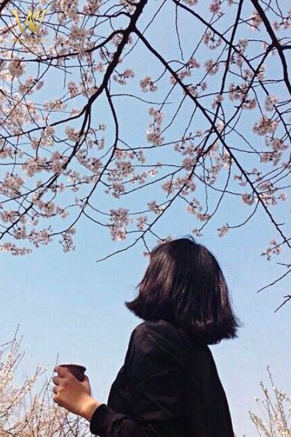 cô gái tóc ngắn đứng dưới gốc cây hoa